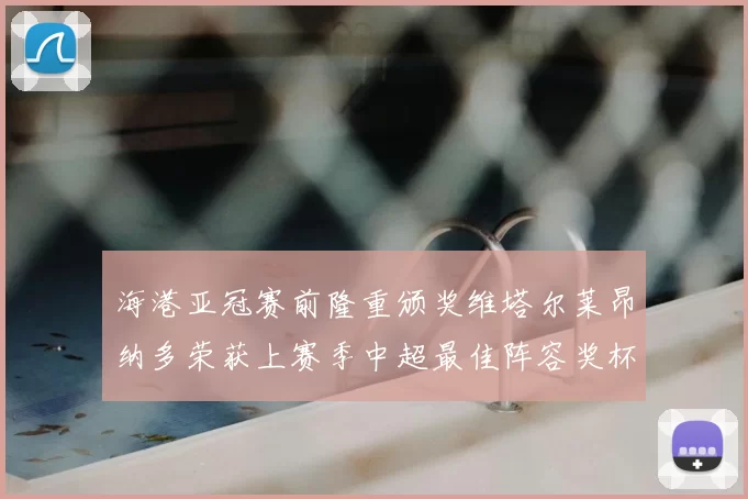 海港亚冠赛前隆重颁奖维塔尔莱昂纳多荣获上赛季中超最佳阵容奖杯