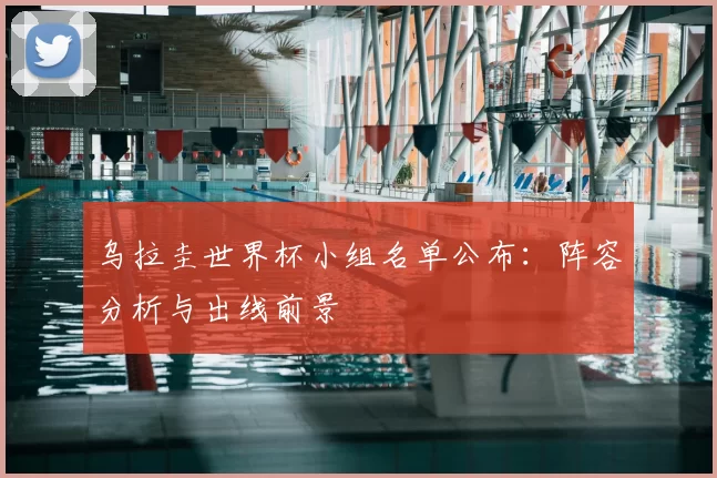 乌拉圭世界杯小组名单公布:阵容分析与出线前景