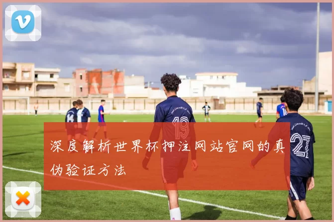 深度解析世界杯押注网站官网的真伪验证方法