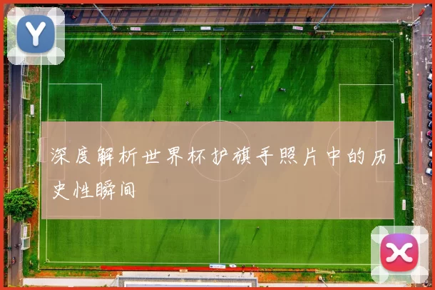 深度解析世界杯护旗手照片中的历史性瞬间