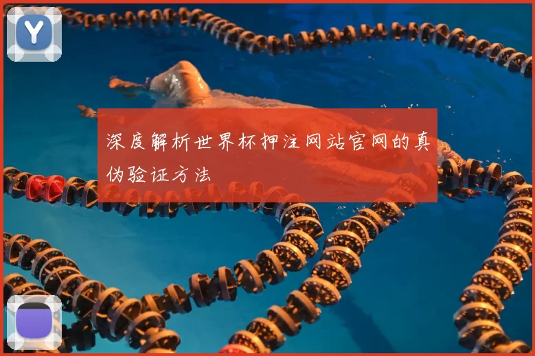 深度解析世界杯押注网站官网的真伪验证方法
