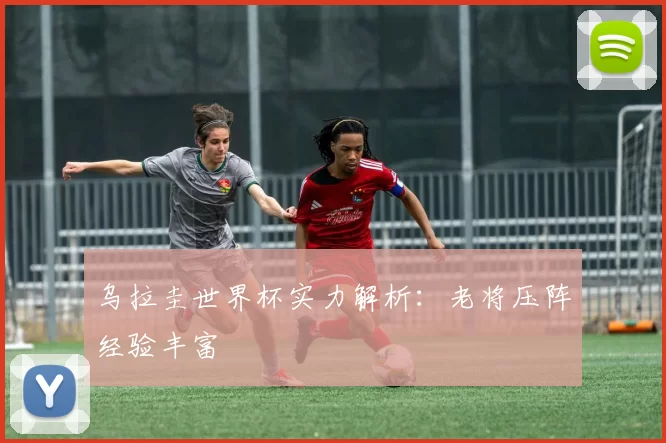 乌拉圭世界杯实力解析:老将压阵经验丰富