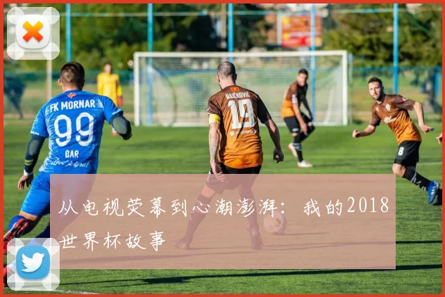 从电视荧幕到心潮澎湃：我的2018世界杯故事