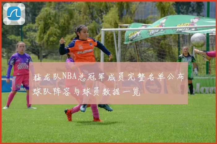 猛龙队NBA总冠军成员完整名单公布球队阵容与球员数据一览
