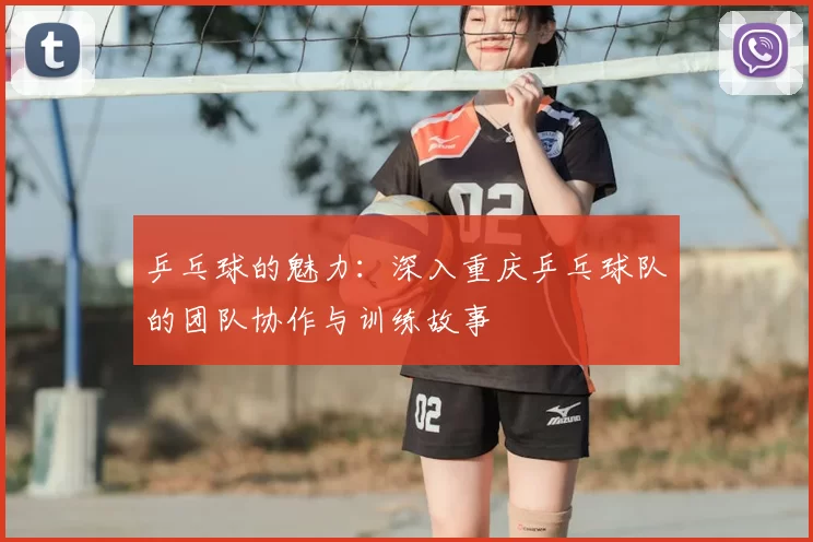 乒乓球的魅力:深入重庆乒乓球队的团队协作与训练故事