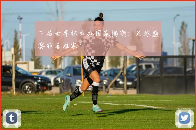下届世界杯举办国家揭晓：足球盛宴花落谁家？