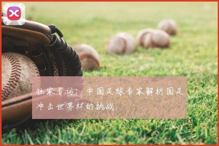 独家专访:中国足球专家解析国足冲击世界杯的挑战